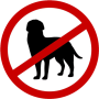non-dog